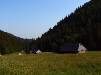Dolina Jaworzynka