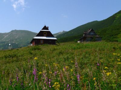 Hala Gąsienicowa