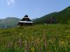 Czarny Staw