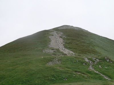 Małołączniak