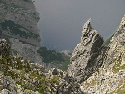 Taki mniszek