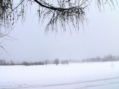 Błonia