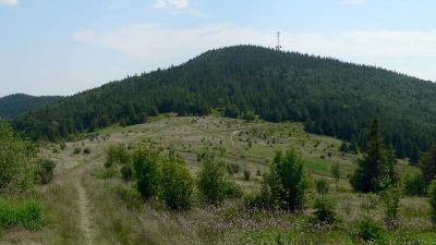 Okrąglica
