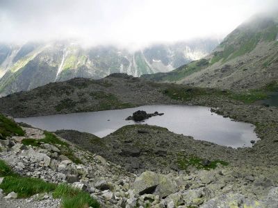 Żabie Plesa