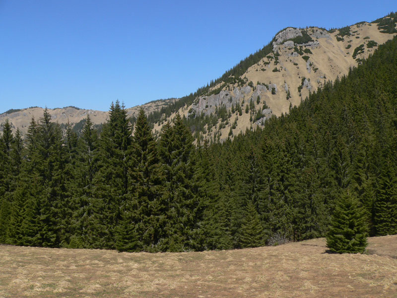http://www.2beinspired.pl/cpg14x/albums/salatin/P1330217.jpg