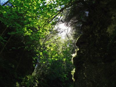 Gra światła