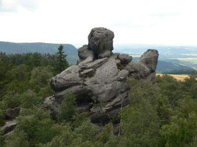 Kaczęta Fot. Lowell