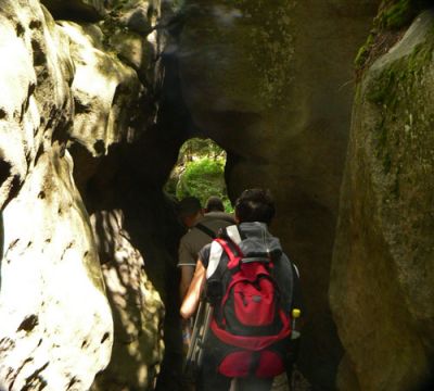 Ucho Igielne Fot. Lowell