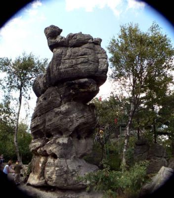 Wielbłąd Fot. Lowell