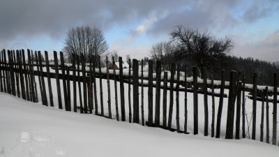 Potrojna