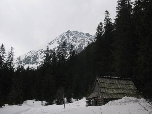 ostatnie zdjecie